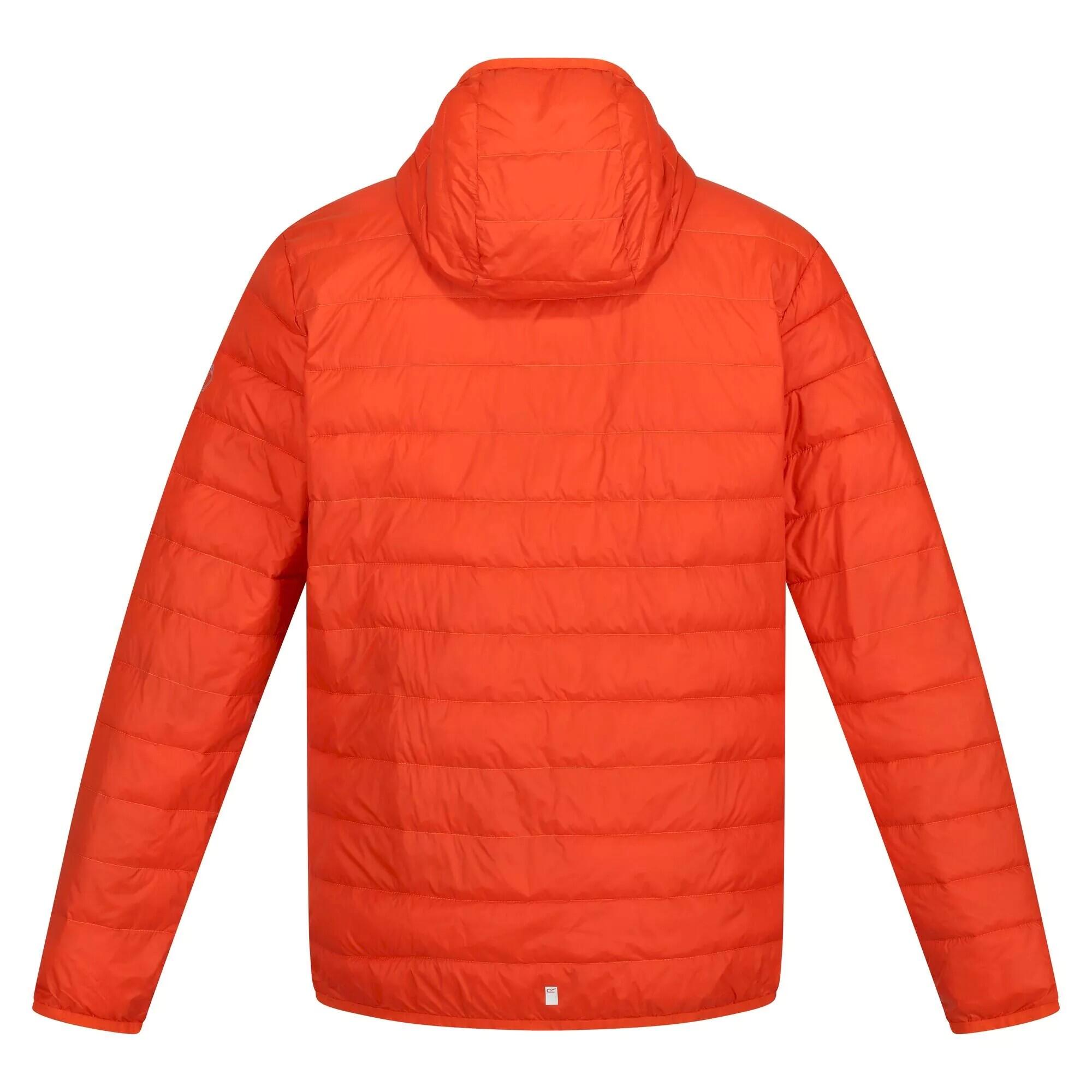 "Hillpack" Jacke Leicht für Herren Rost/Orange 2/5