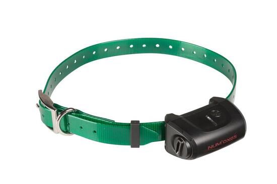 Collier de dressage pour chien - CANICOM 5