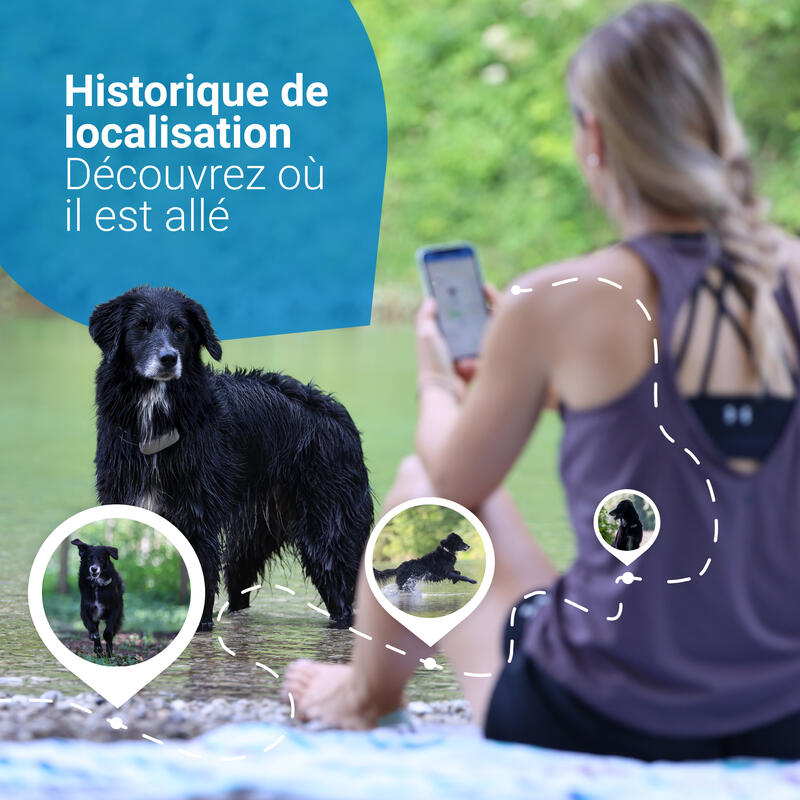 Tractive GPS DOG 4 - collier GPS pour chien avec suivi d'activité - Café