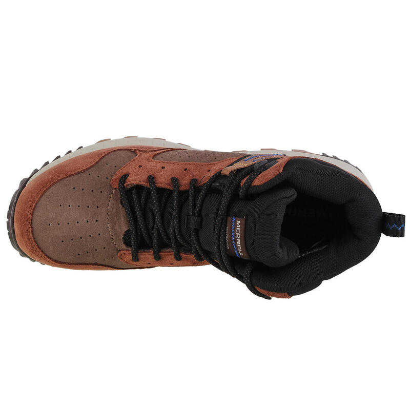 Zapatillas Hombre Merrell Wildwood Wp Marrón