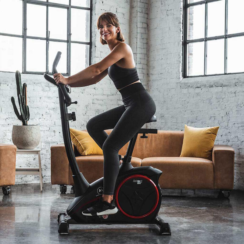 Rower treningowy AL1 II