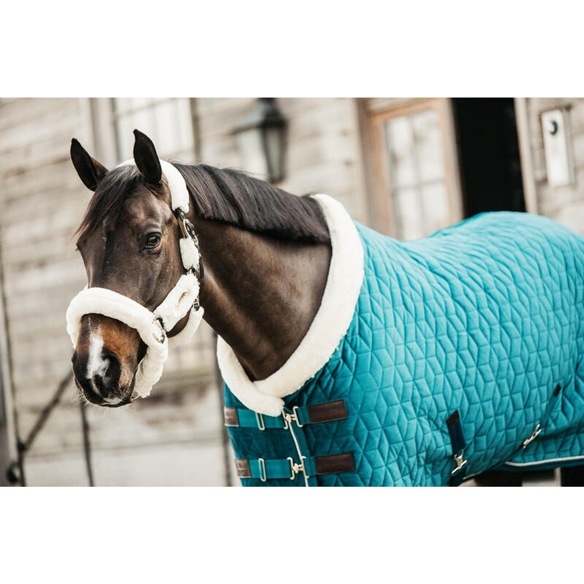 Show Rug Velvet deken smaragd 140-6'3 160g