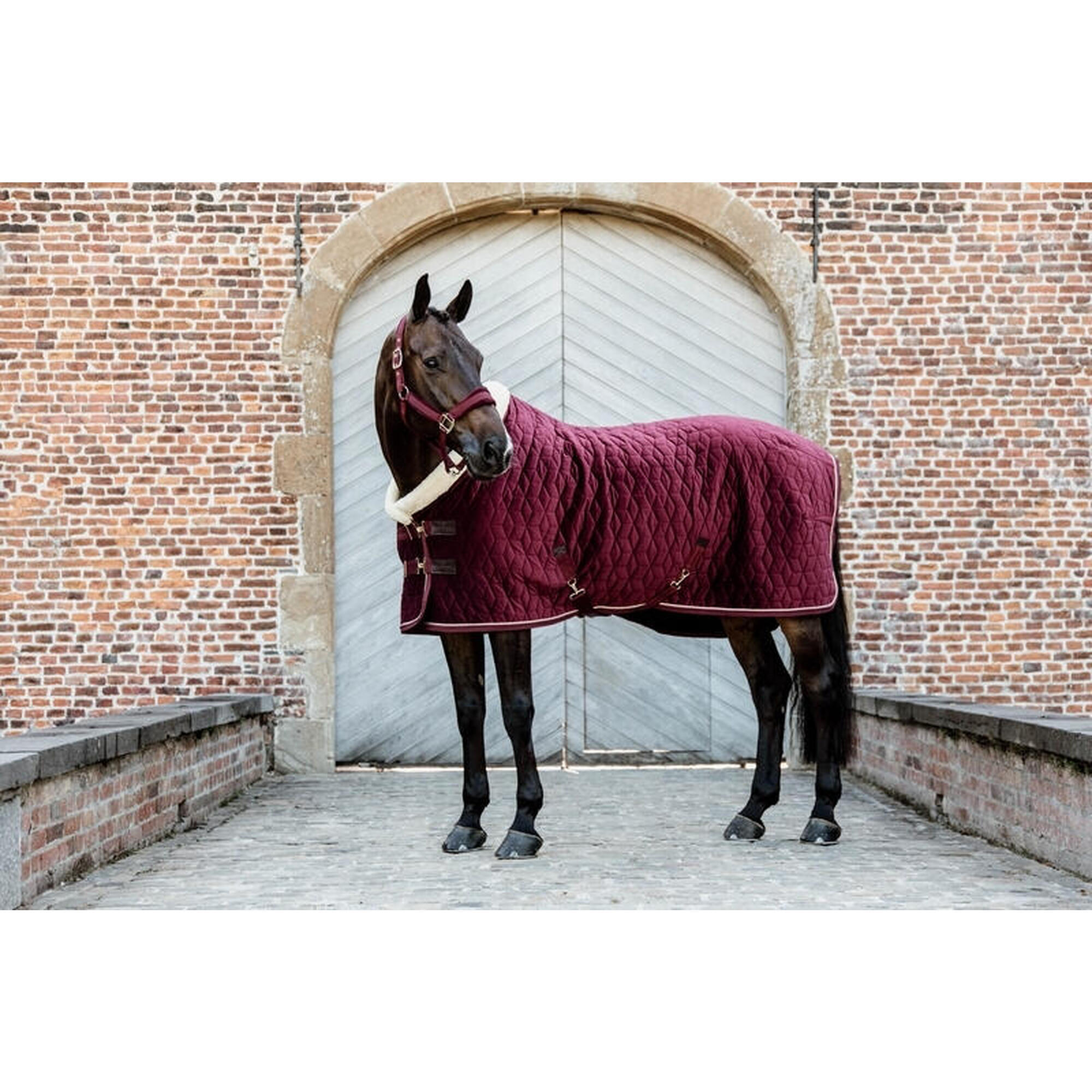 Show Rug Velvet bordeaux 155-6'9 160g