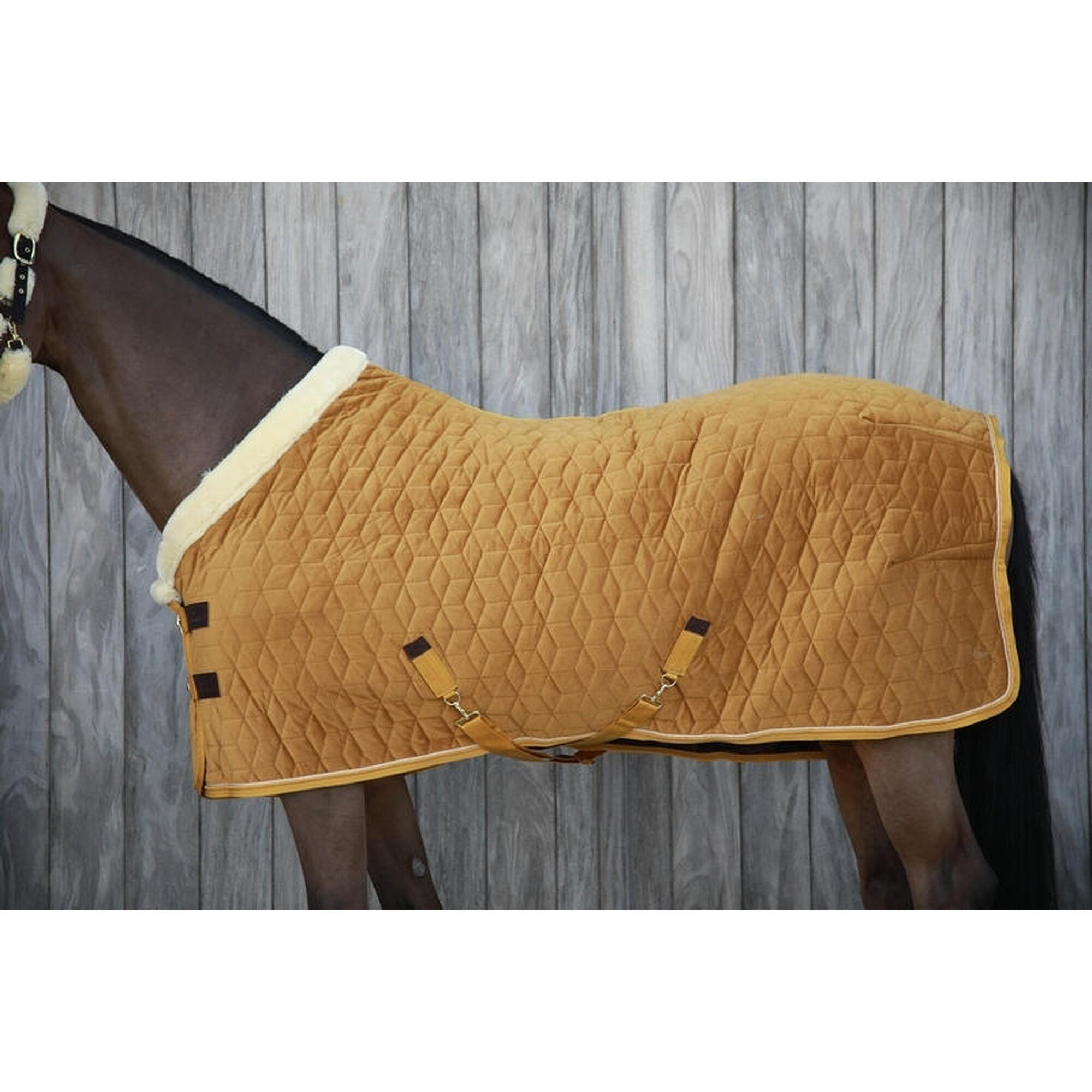 Show Rug velvet moutarde 155-6'9 160g