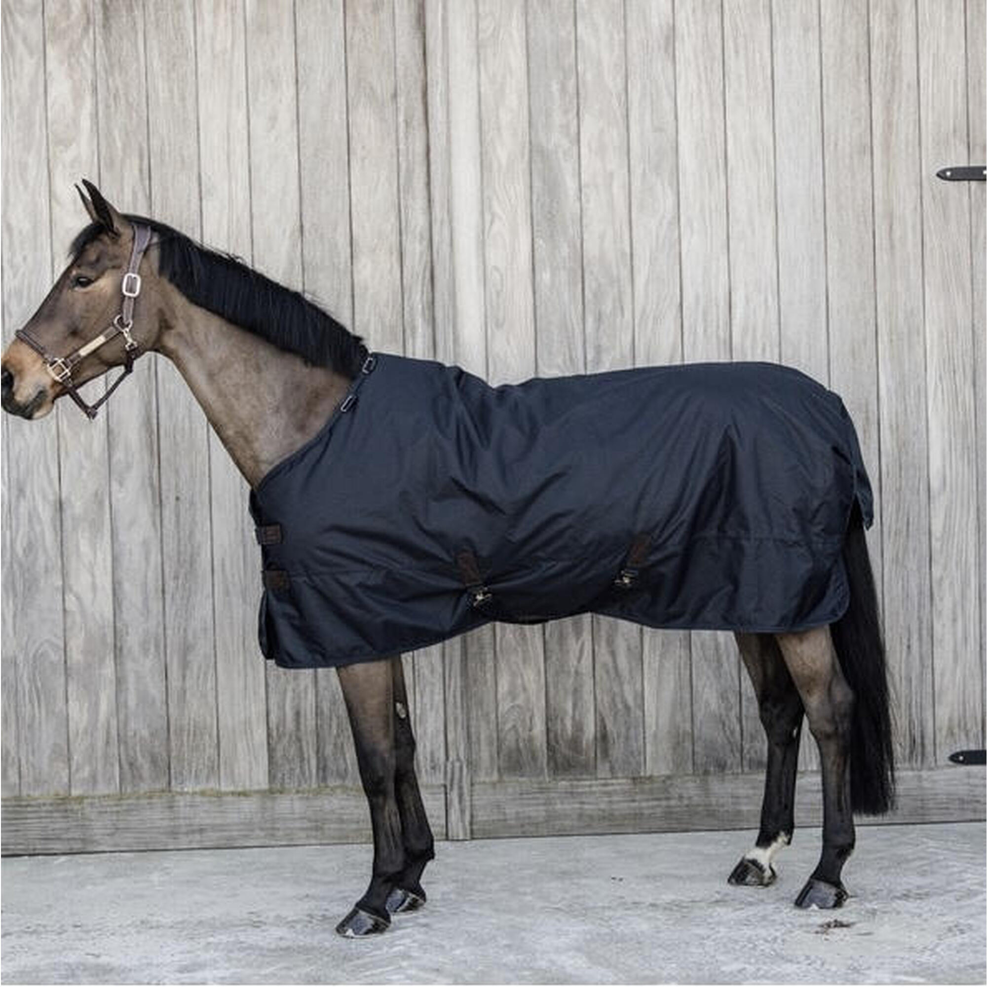 Couverture d'extérieur All weather Imperméable Classic  navy 160-7'0 0 gram 4/5