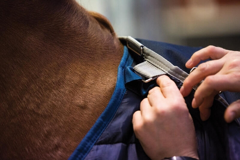Horseware Unterbett 3/6