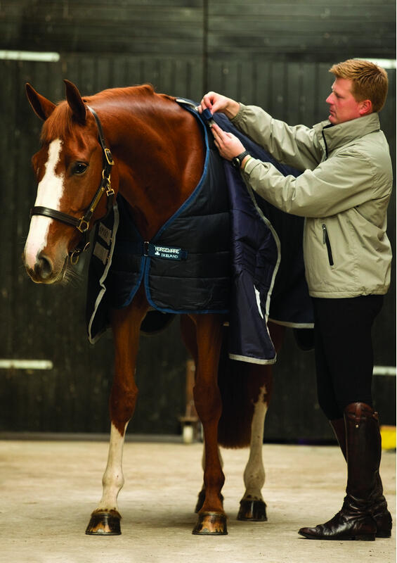 Horseware Unterbett 2/6