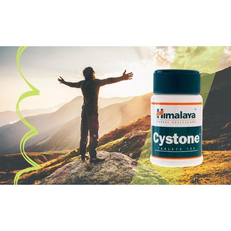 Himalaya Cystone 100 tabs