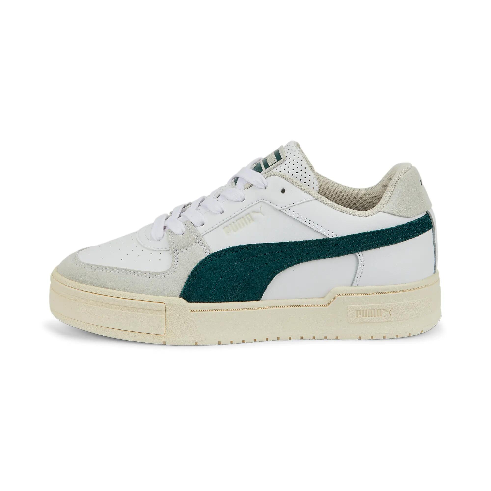 PUMA picture