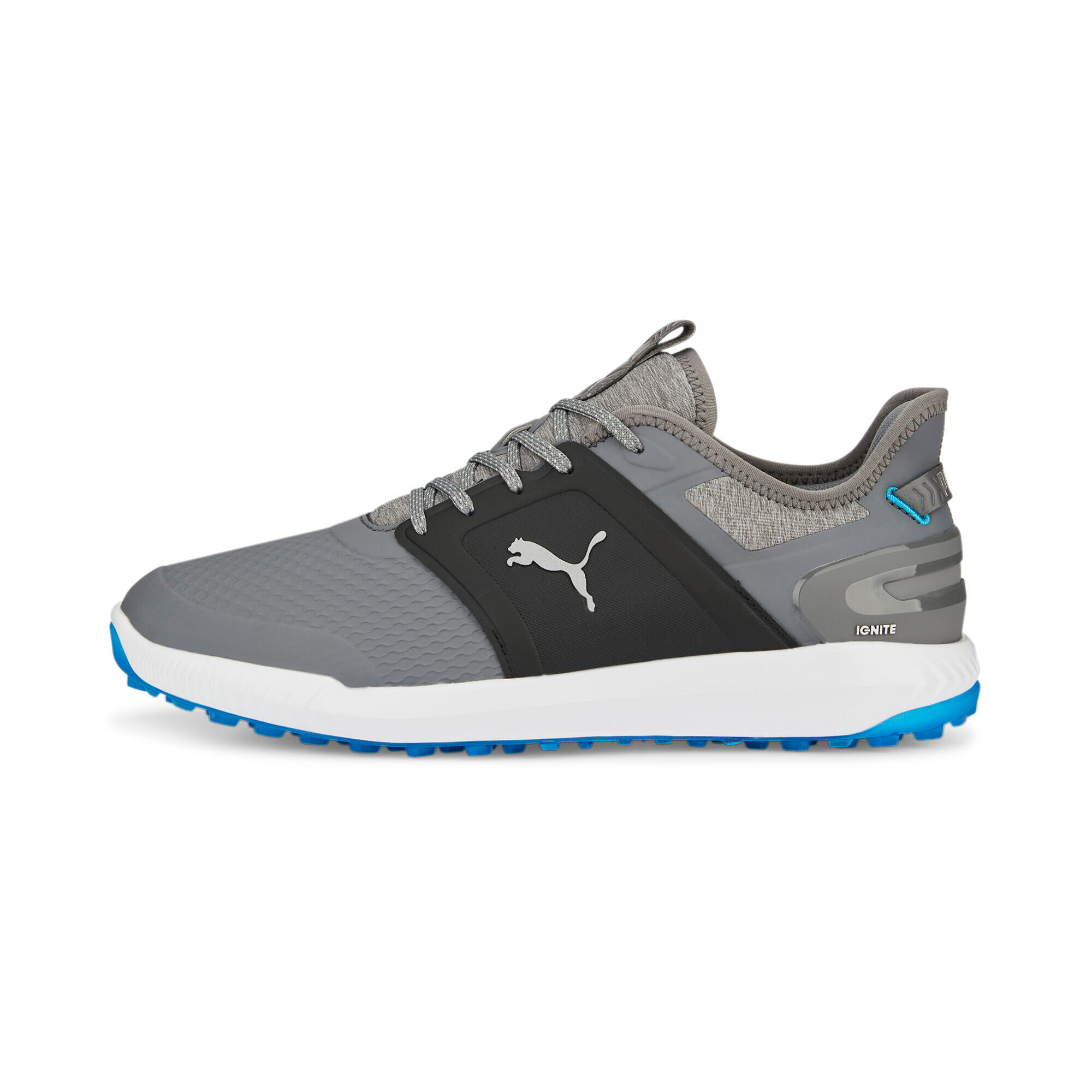 PUMA picture