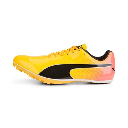 Chaussures d'athlétisme Puma Evospeed Sprint 14