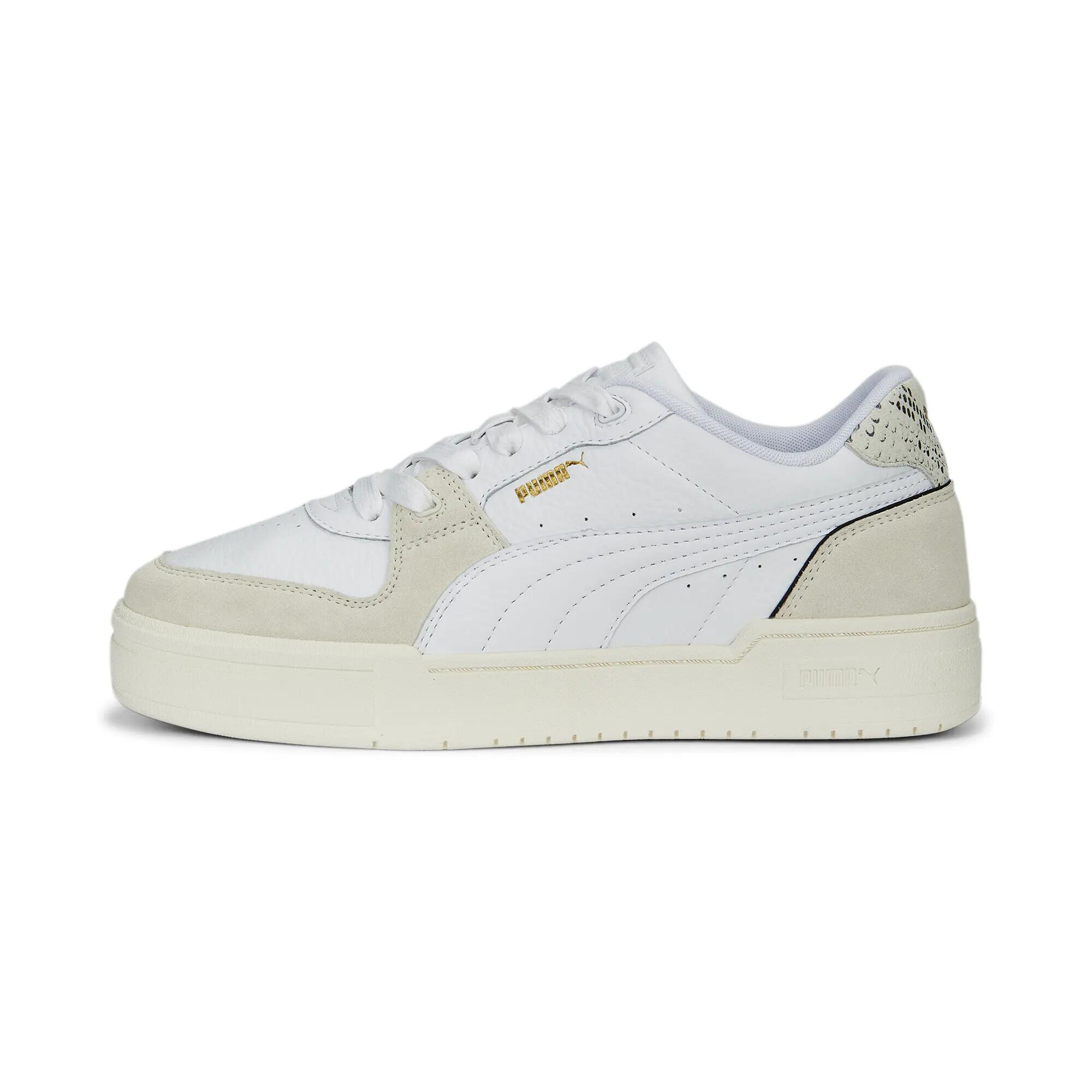 PUMA picture