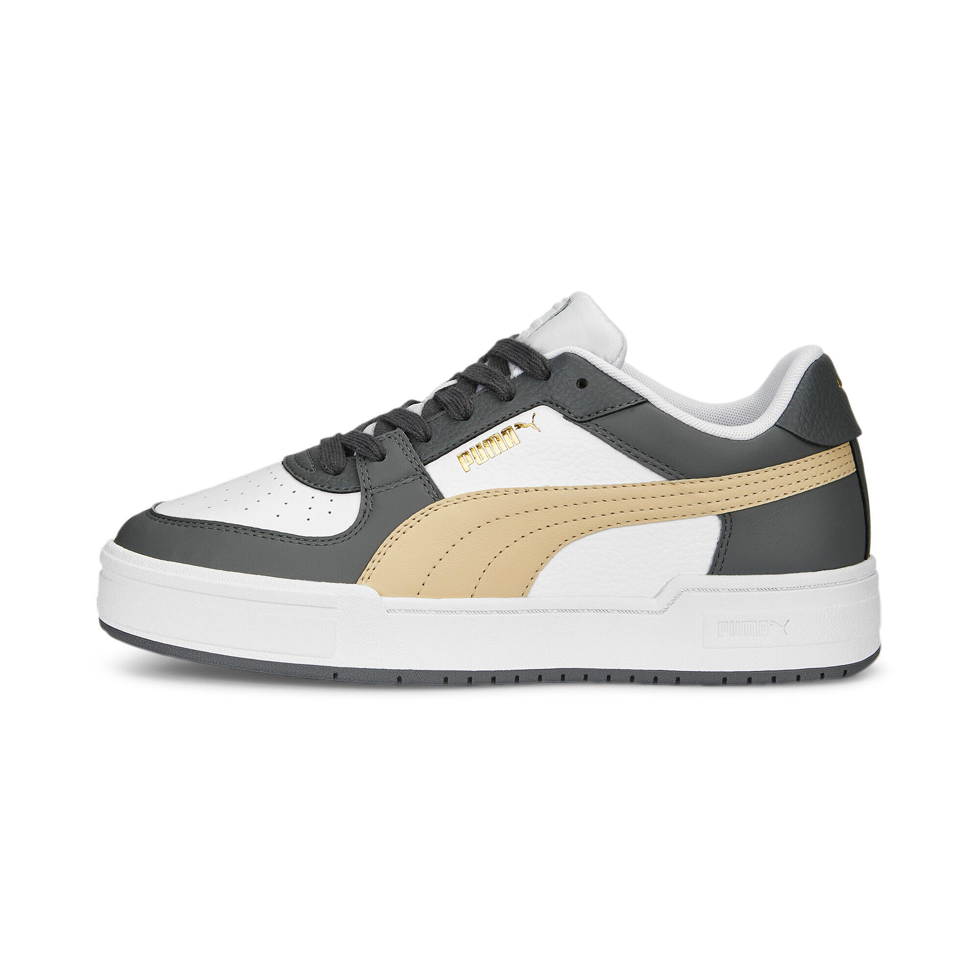 PUMA picture