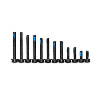 Flatmount Schraubenset Hinterrad