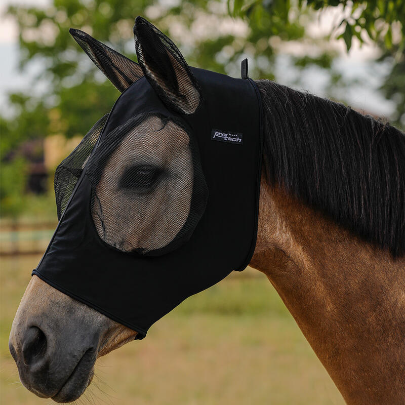 Lycra anti-fly masker met technisch oorbedekking