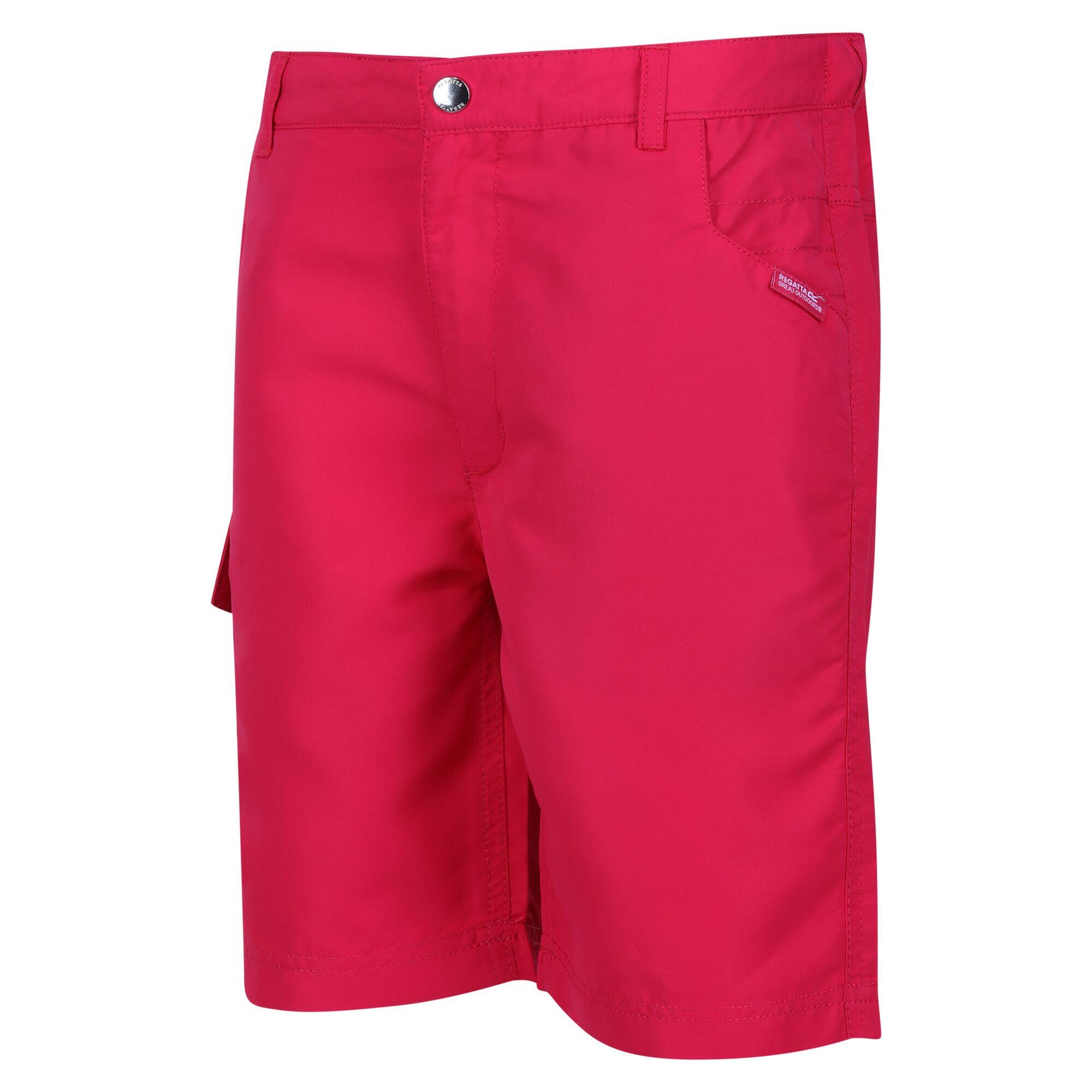 Pantalones cortos senderismo niño Regatta Sorcer II 7/7