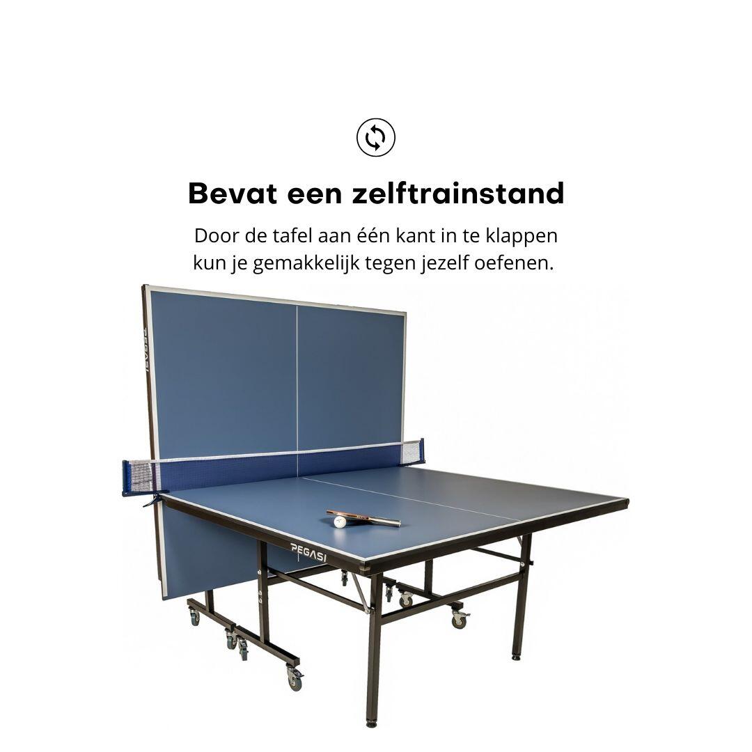 Tafeltennistafel Pegasi Office 250 Indoor Blue 2.0 6/6