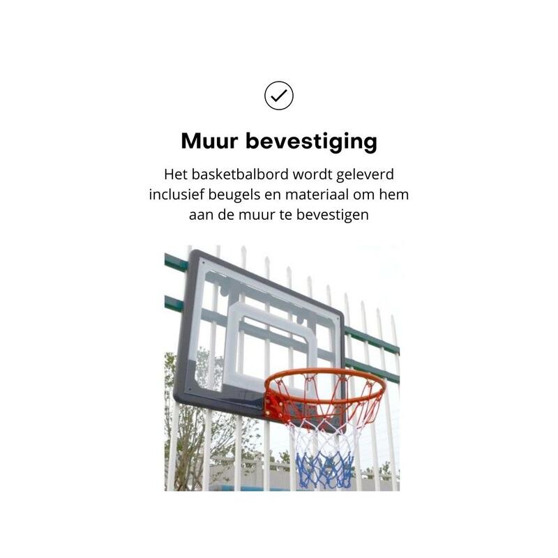 Pegasi Basketballbrett Fun 82 x 58 cm