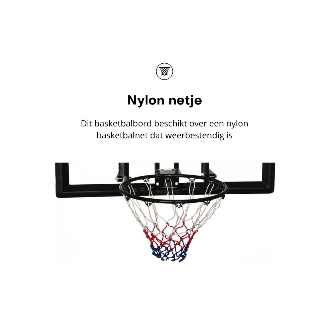 Pegasi Basketballbrett School 122x82cm 5/6