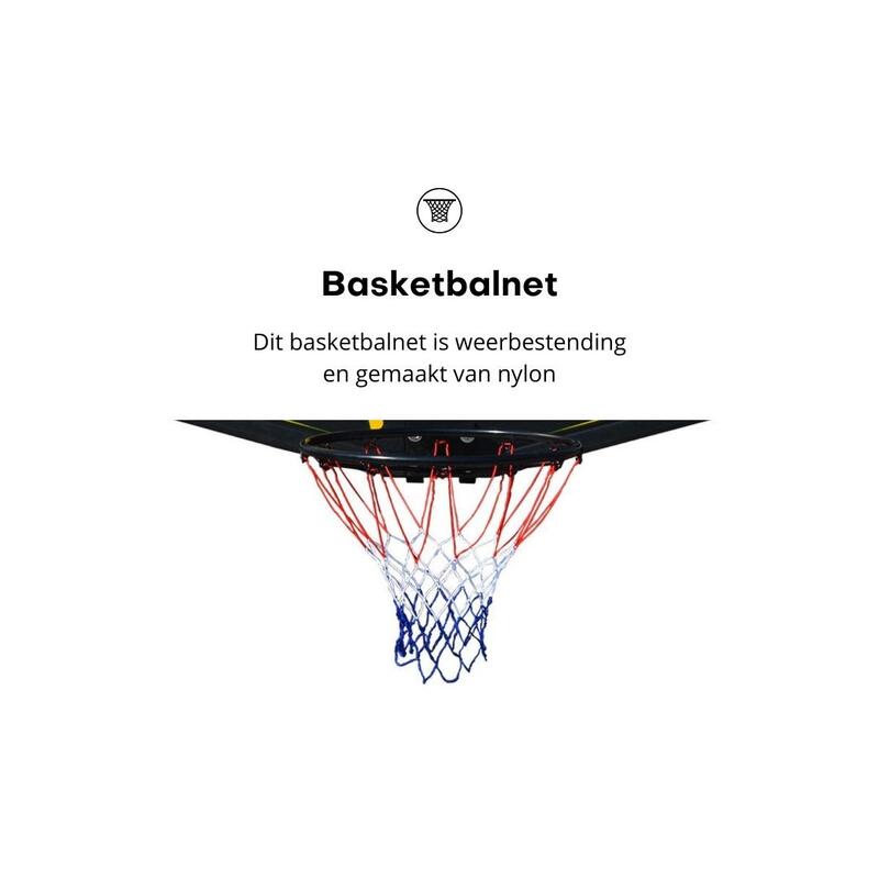Pegasi Basketballbrett Sport 110 x 70 cm