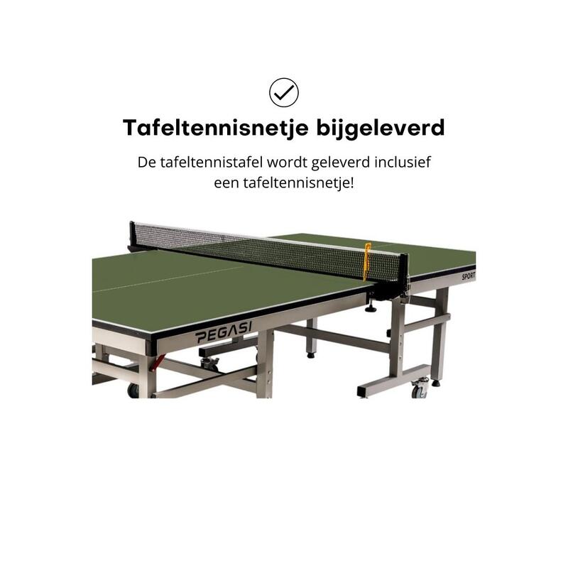 Table de tennis de table pegasi 1200 intérieur pro green