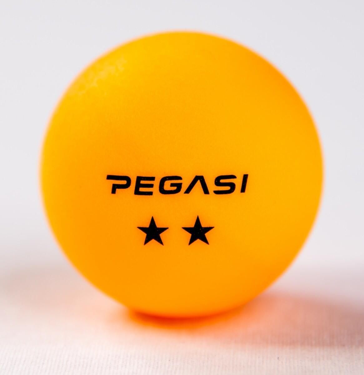 Pegasi 2 ster pingpong ballen 6st. Oranje 2/3