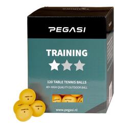 PEGASI 1 étoiles Pingpong Balls 120st. Orange