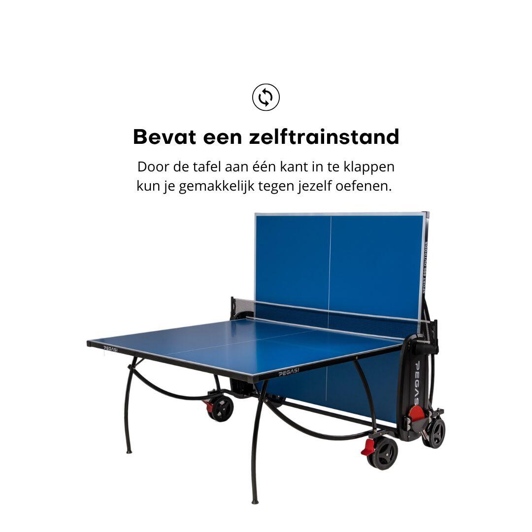 Tafeltennistafel Pegasi 800 Outdoor Blue 5/6