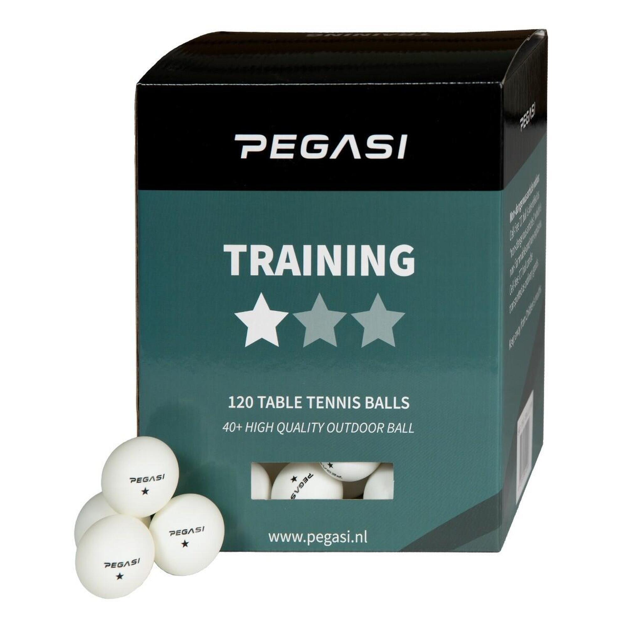 PEGASI Pegasi 1 ster pingpong ballen 120st. Wit