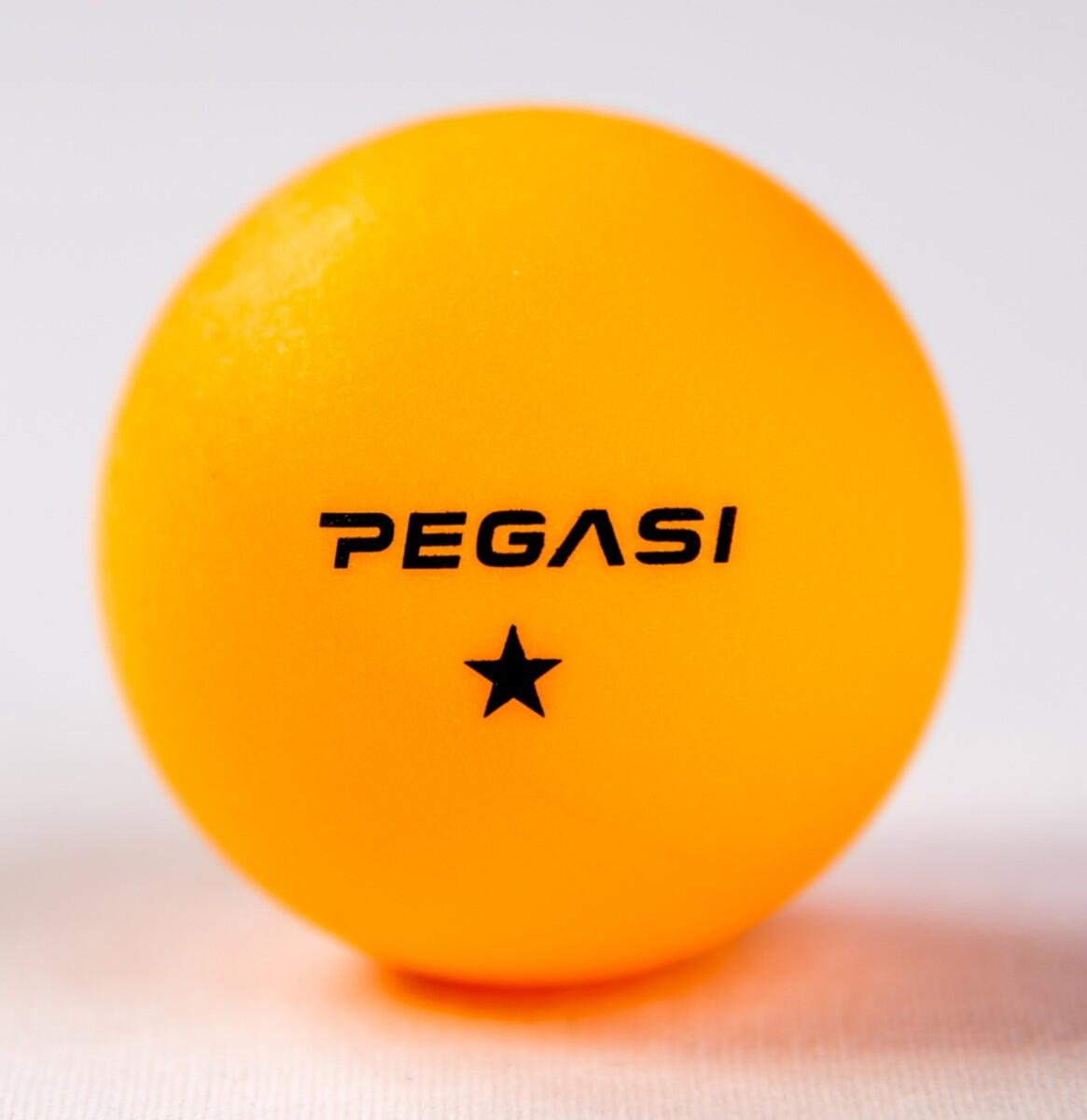 Pegasi 1-Stern Tischtennisbälle 6Stk. Orange 2/3