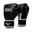 Guantes de Boxeo EVERLAST Core 2