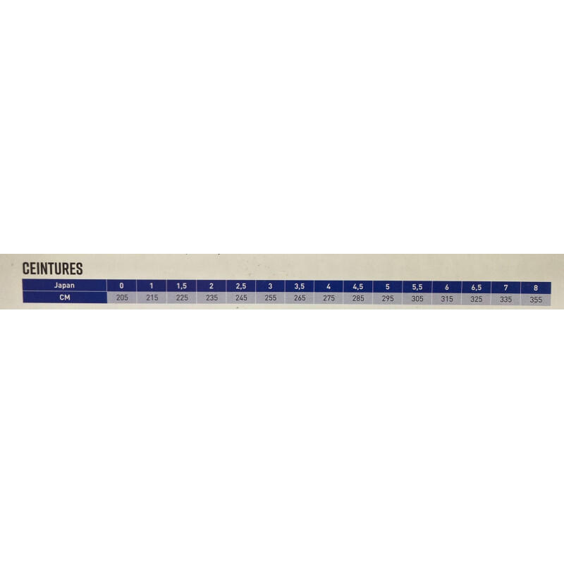 Ceinture piquée unie MIZUNO 2/2