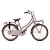 Valetta Cargo Transportfiets - Meisjesfiets - 22 inch - Flamingo Roze