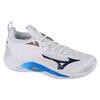 Chaussures de volleyball pour hommes Wave Momentum 2