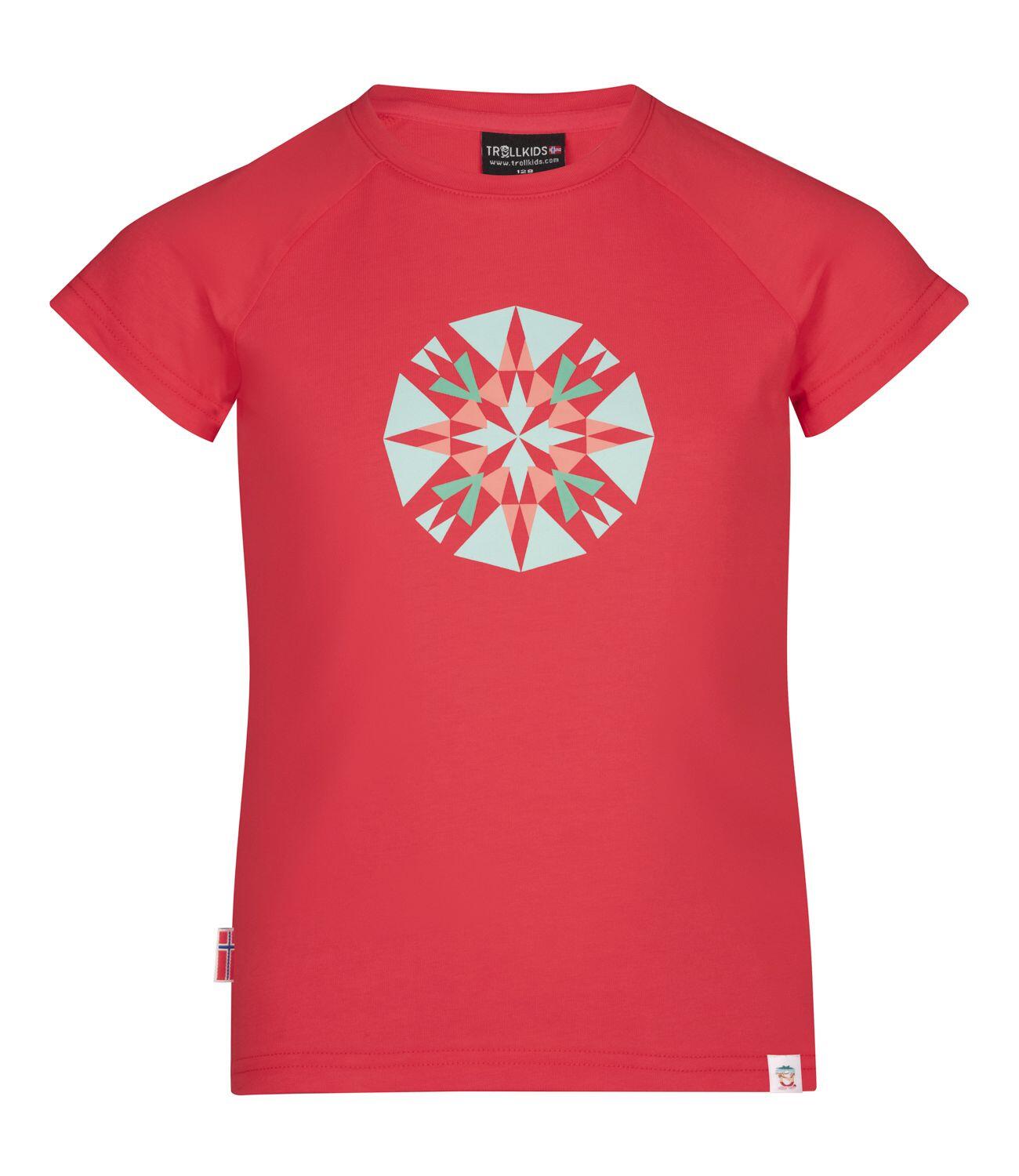 TROLLKIDS picture