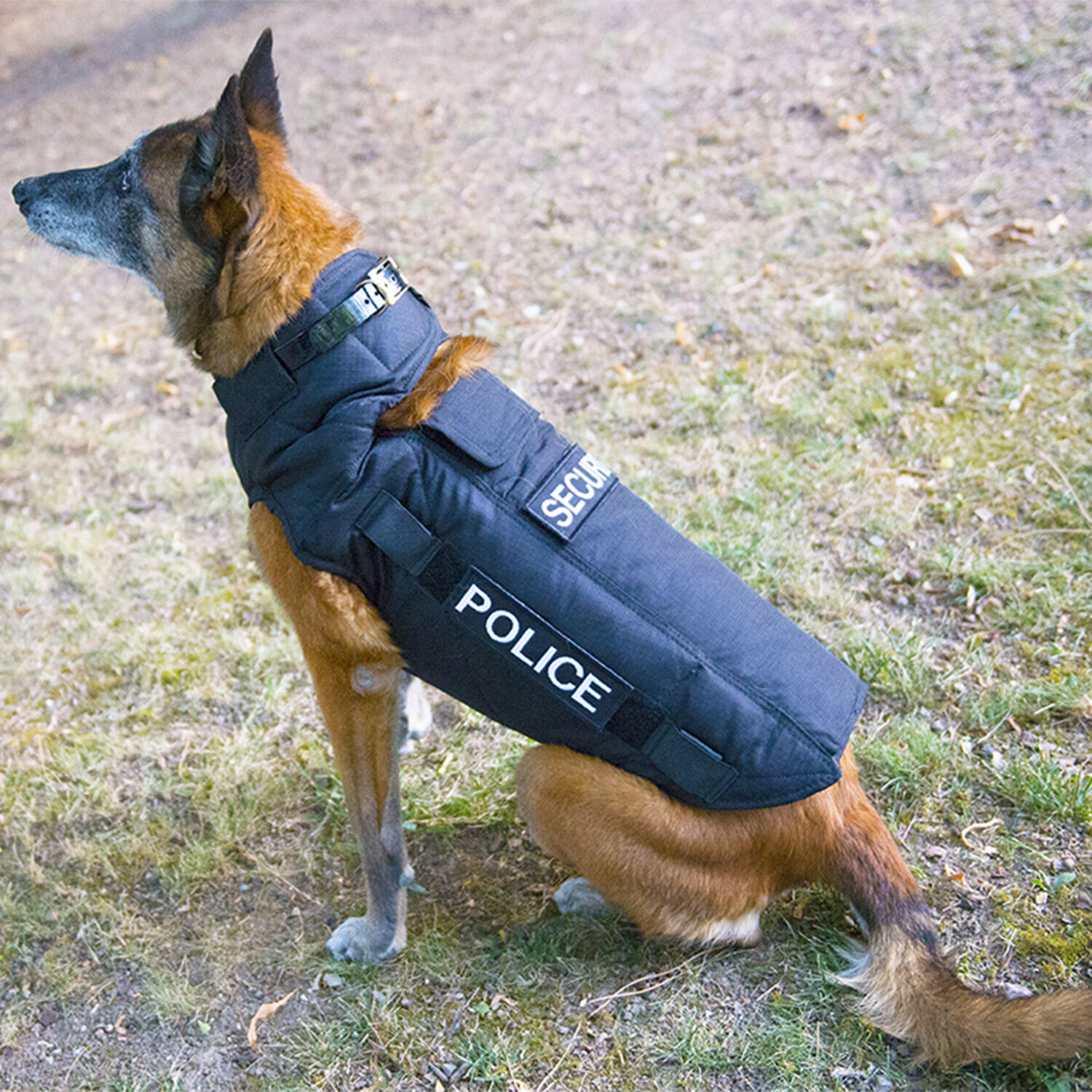 Gilet SECURITY CANIHUNT 3/3