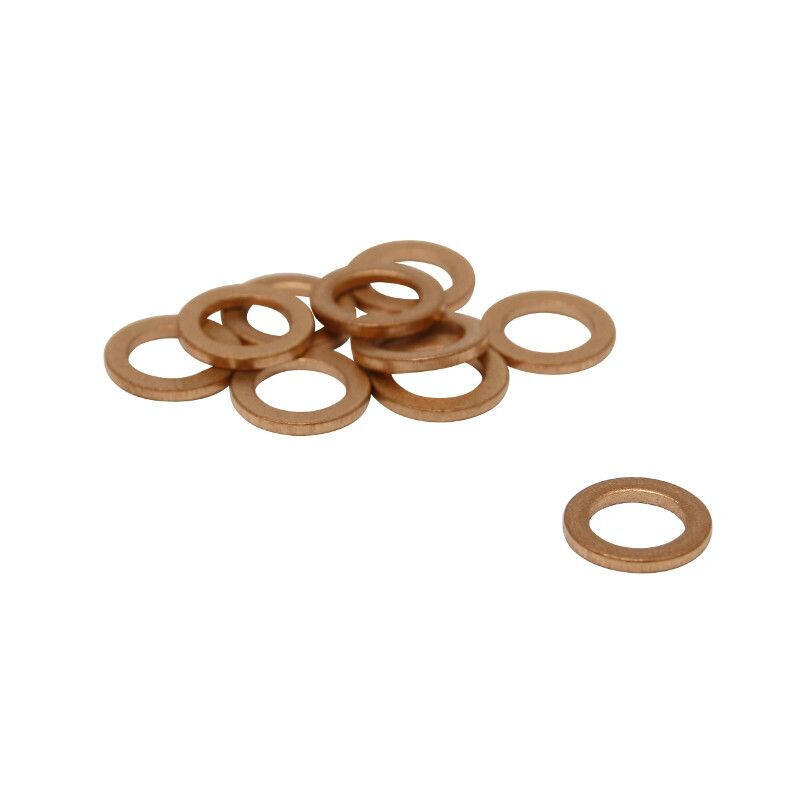 SELECTION P2R Set van 10 afdichtingen voor hydraulische kit P2R