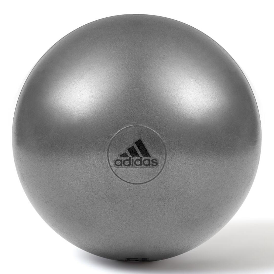 Anti burst Gym ball 55cm ADBL 13245
