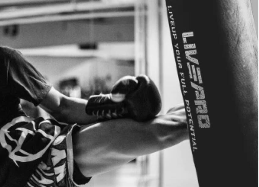 Livepro Boxsack 5/5