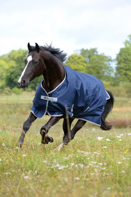 Couverture d'extérieur pour cheval Bucas Freedom Turnout 4/4