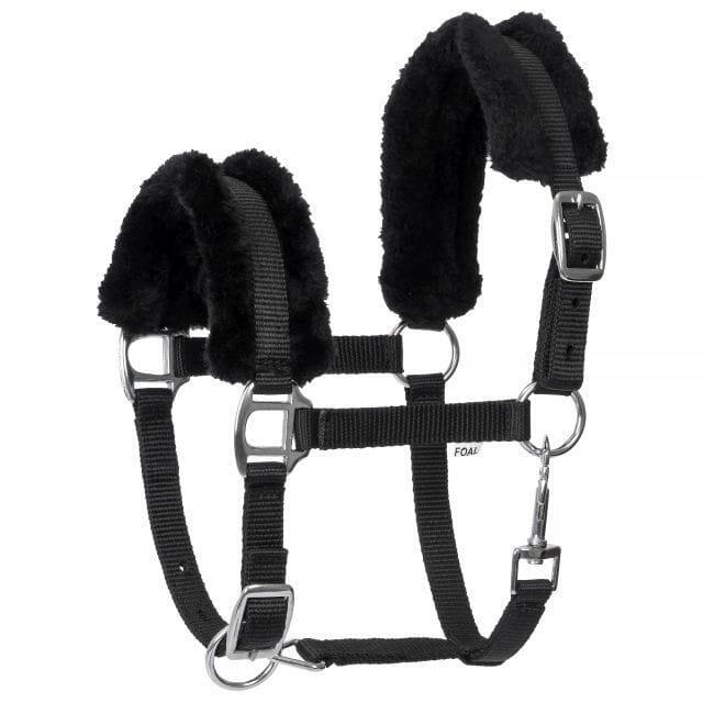 Halter START FoalMink Foal