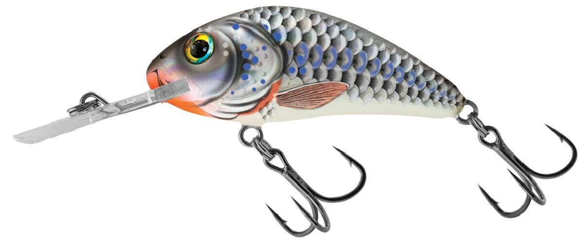SALMO Salmo Rattlin Hornet Floating 5.5Cm Silver Holographic Shad - Roofvis Pluggen
