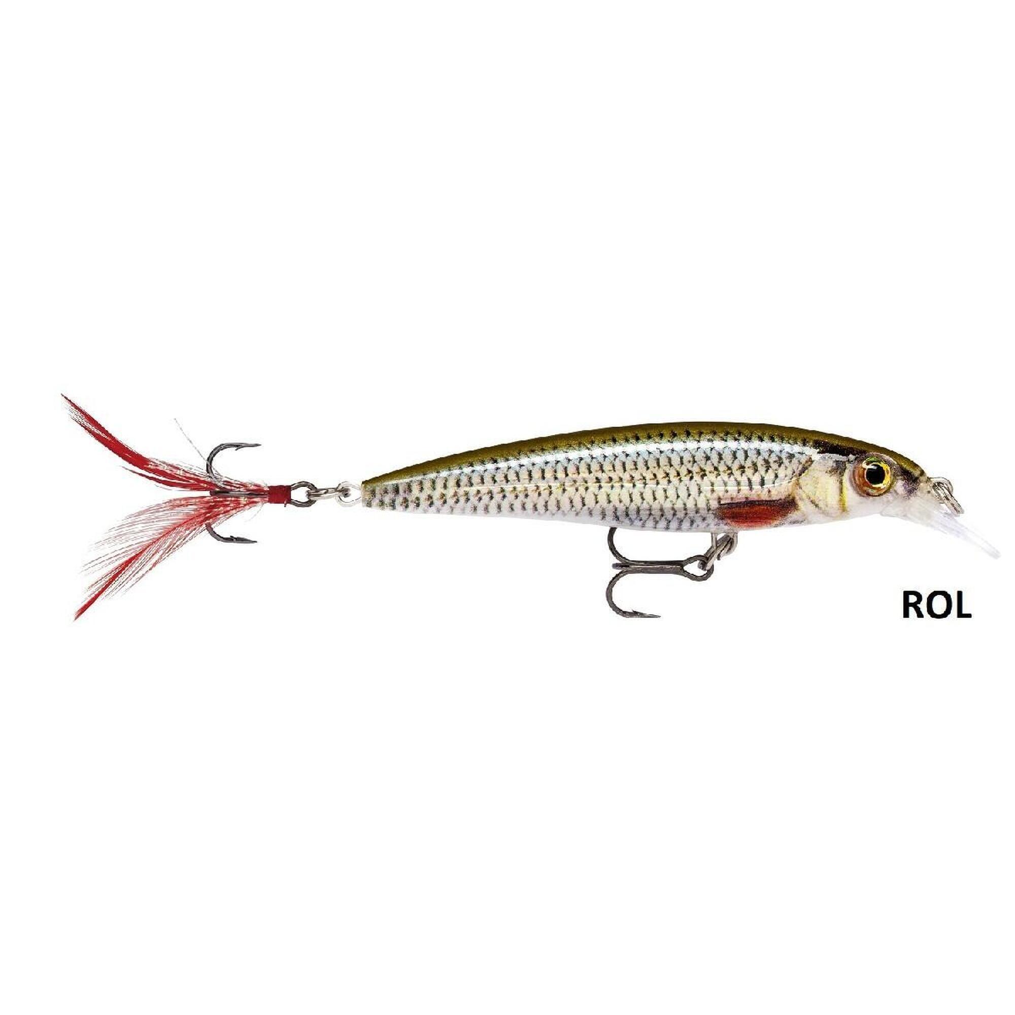 RAPALA picture
