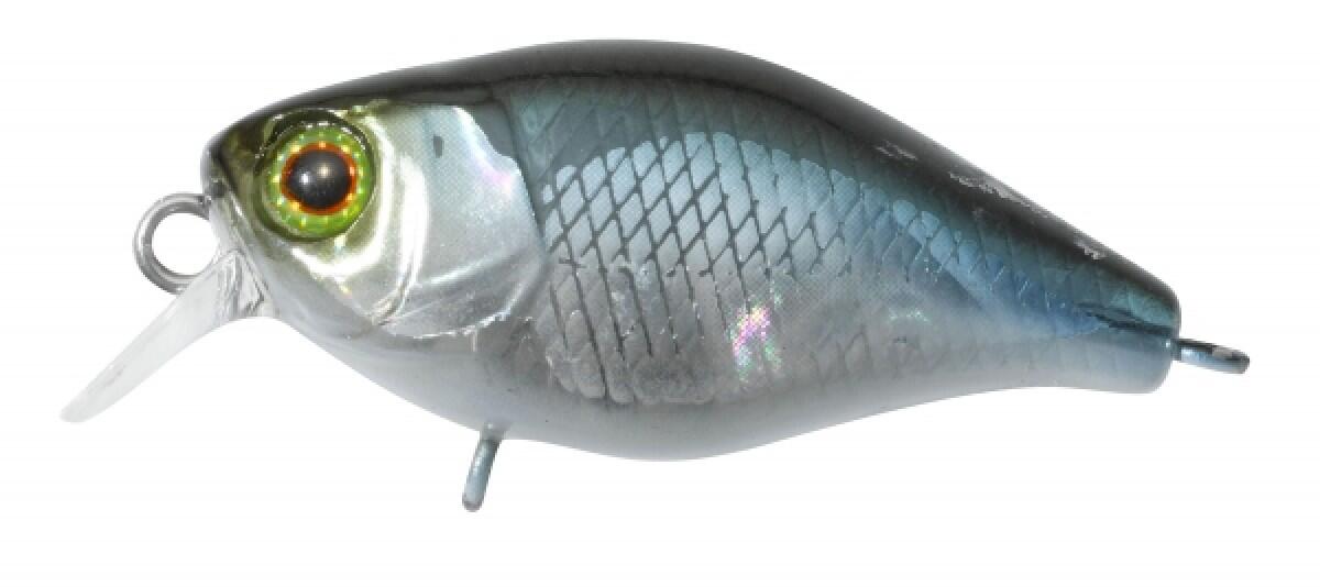 Illex Chubby 38 F lure (NF Ablette) 2/2