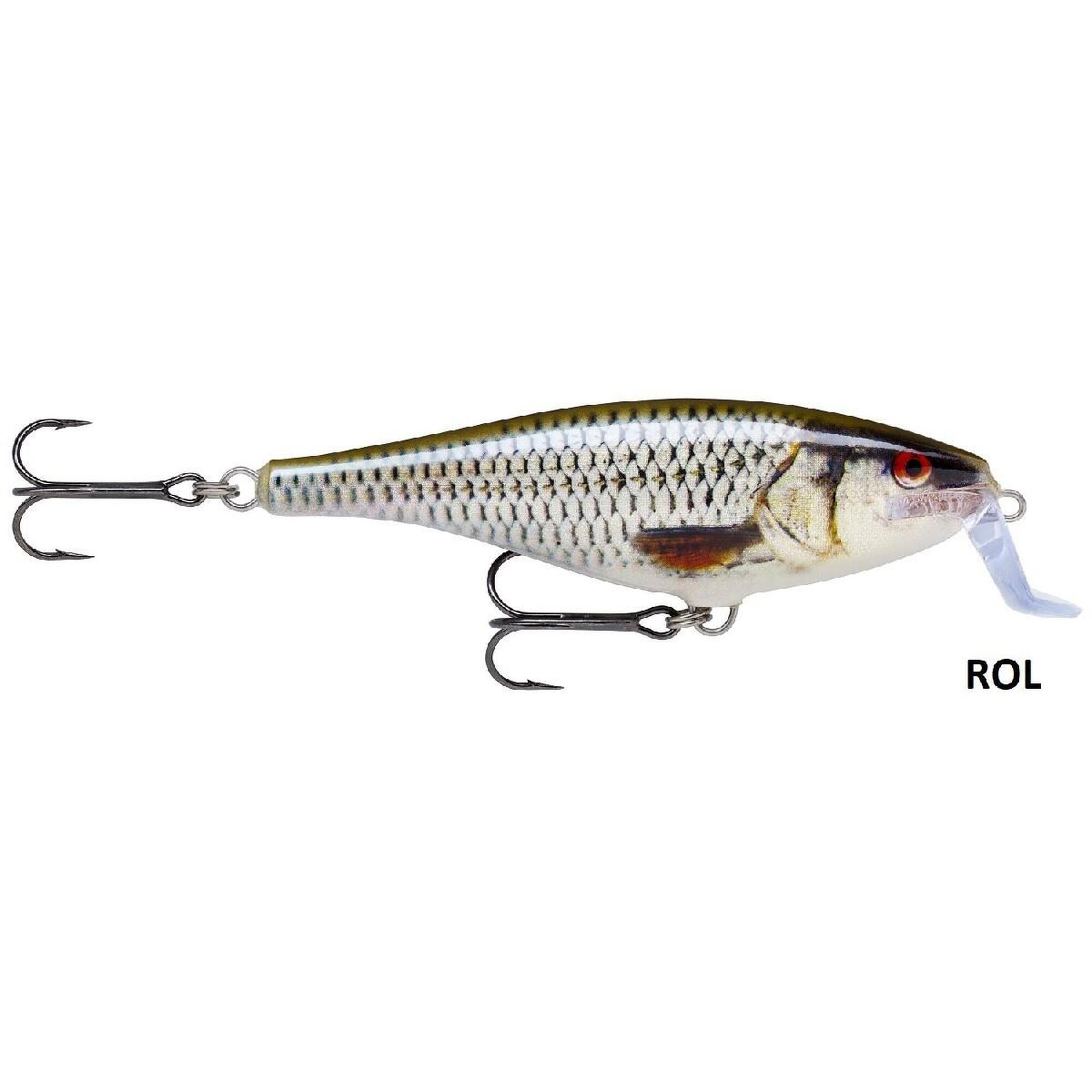 RAPALA Rapala Super Shad Rap 14 Lively Roach - ROL - Roofvis Pluggen