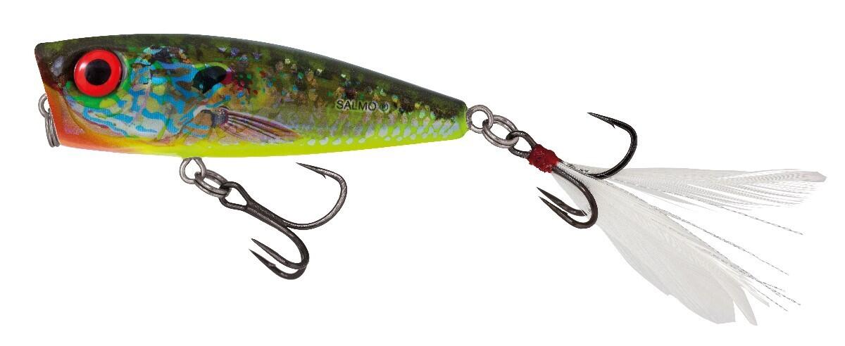 Atraer a Salmo rattlin pop 2/2