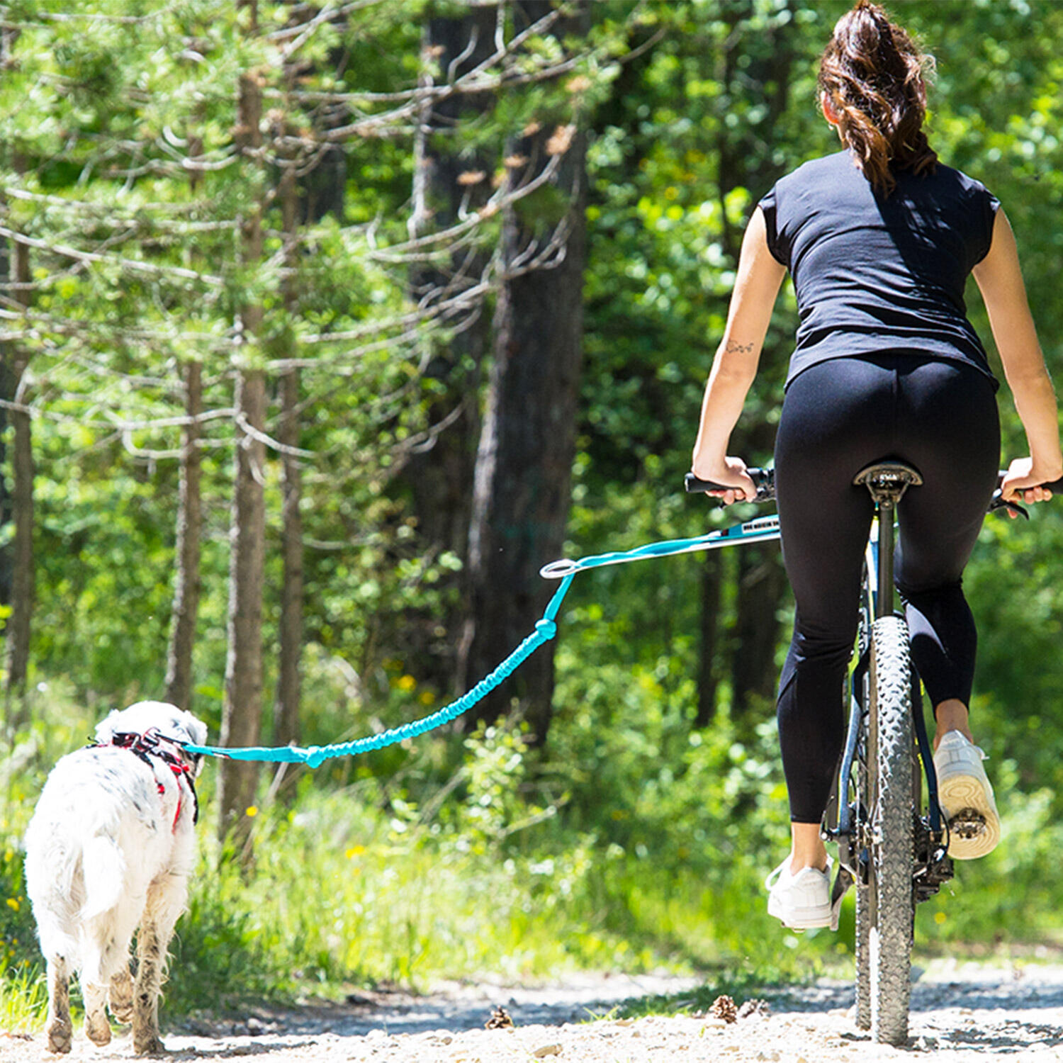 Fahrrad-Klimmzugstange I-DOG VTT Link ALM 6/7