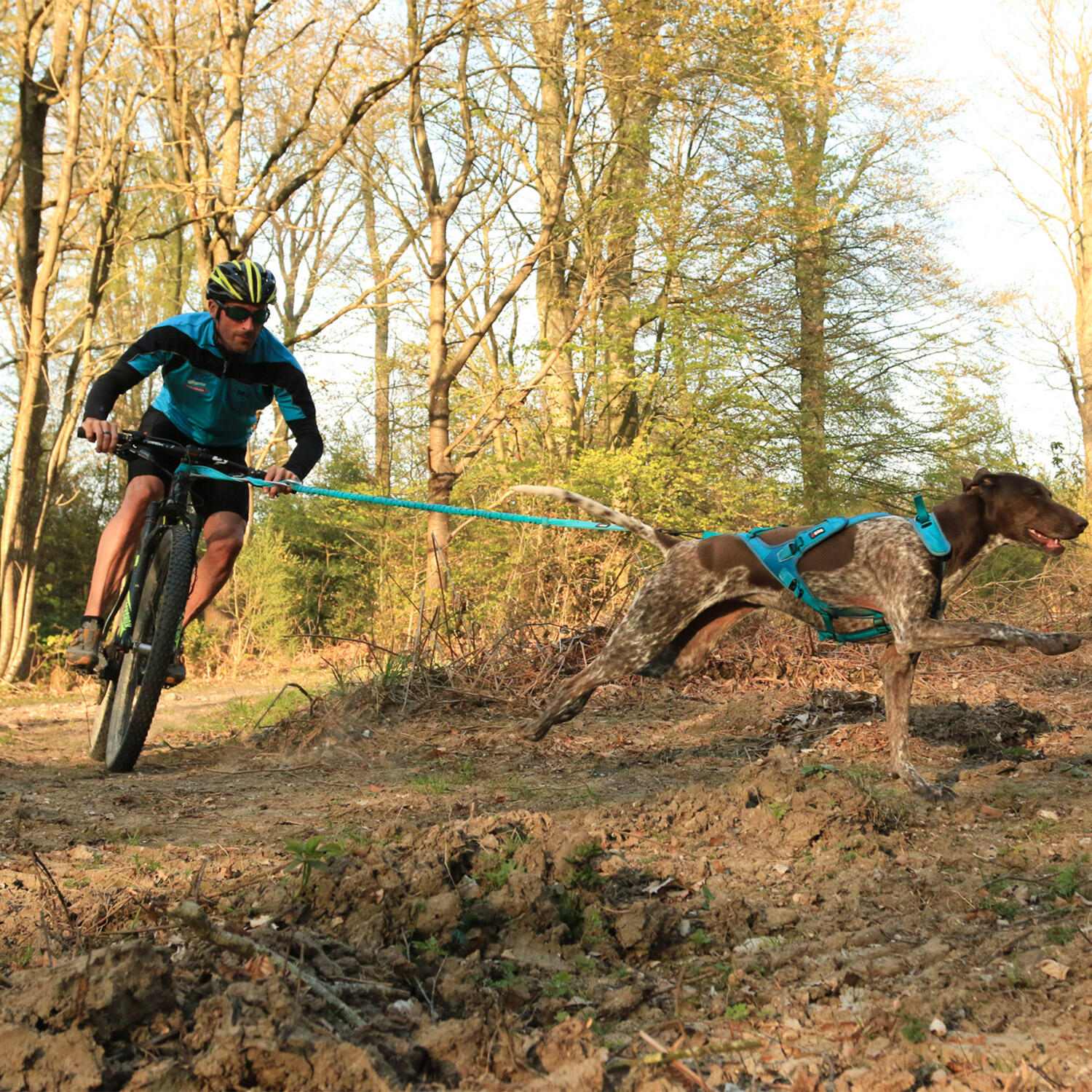 Canicross long lead I-DOG Cani-Bike Opale 2/7