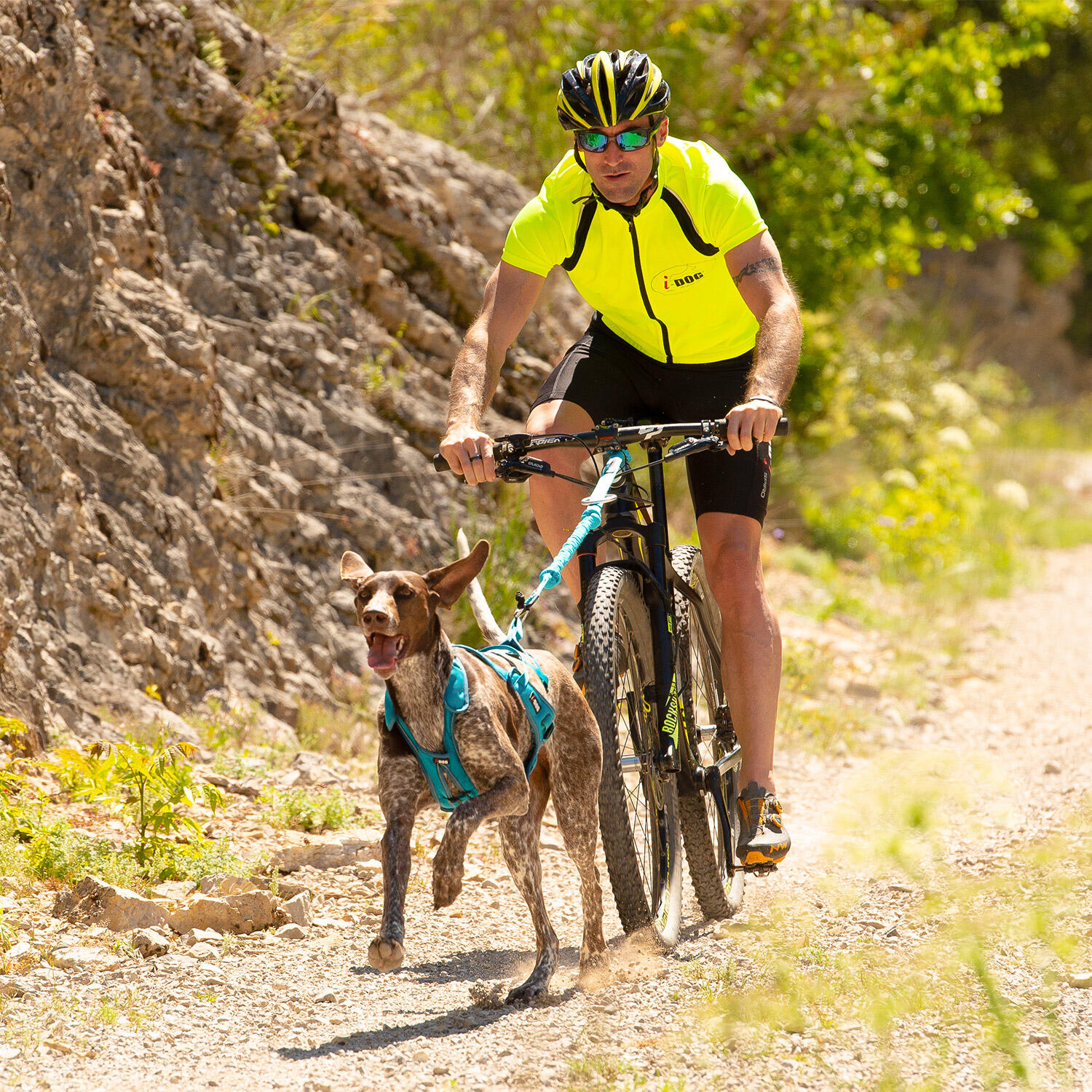Canicross long lead I-DOG Cani-Bike Opale 3/7