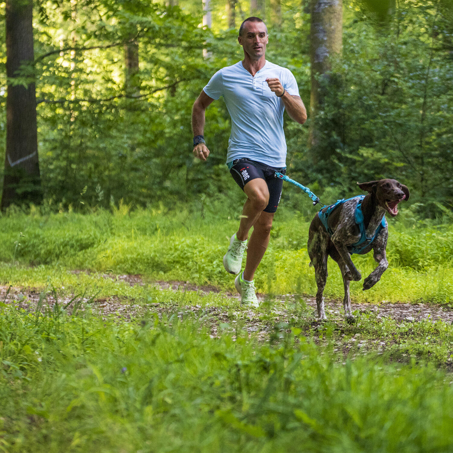 Cordino Canicross OPALE ALM 190cm - CANE MEDIO 4/7